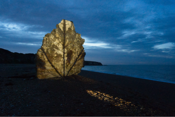 Chris Plant Leaf