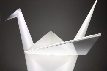 crane angled wing by Studio Vertigo Resized
